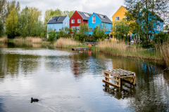 www.fotomilou.nl
