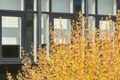 Fotograaf Arno Elshout