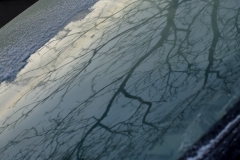 Fotograaf: Angela de Kleyn