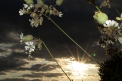 Fotograaf Angela de Kleyn