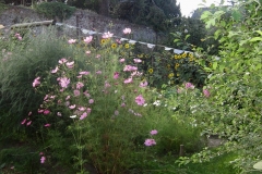 Fotograaf Thea de Goede