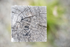 Fotograaf Milou Oomens