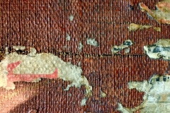 Fotograaf Thea de Goede - Kuijs