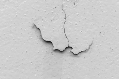 Fotograaf Arno Elshout