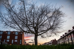 Fotograaf: Milou Oomens