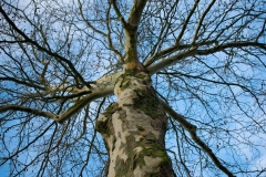 Fotograaf: Angela de Klyn-Schuurman