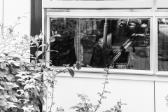 Fotograaf Milou Oomens