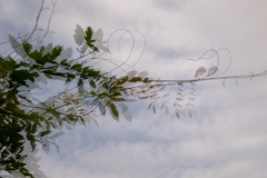 Fotograaf Joyce Elshout