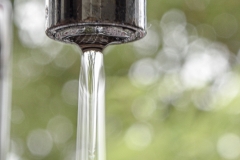 Fotograaf Silvia de Wit