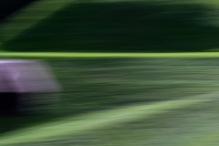 Fotograaf Yvonne van Gils